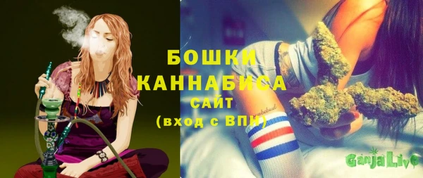 тгк Володарск