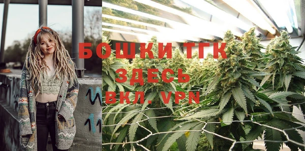 соль ск Волосово