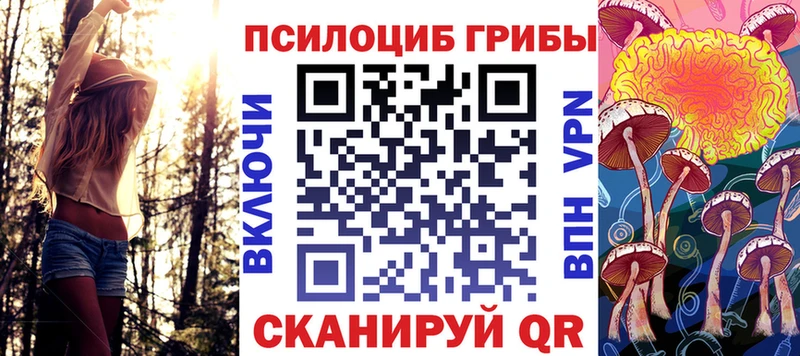 Псилоцибиновые грибы GOLDEN TEACHER  как найти закладки  Зеленодольск 